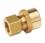 BRCTBF Compression  BSPT Female Brass