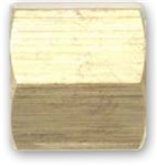 BRNF NPT Female Cap Brass